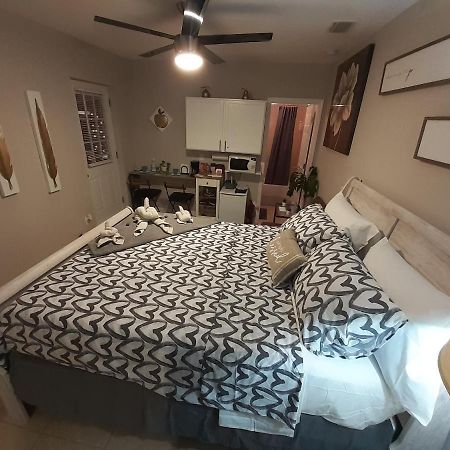 Luxurious Cozy Studio. Tampa Eksteriør billede