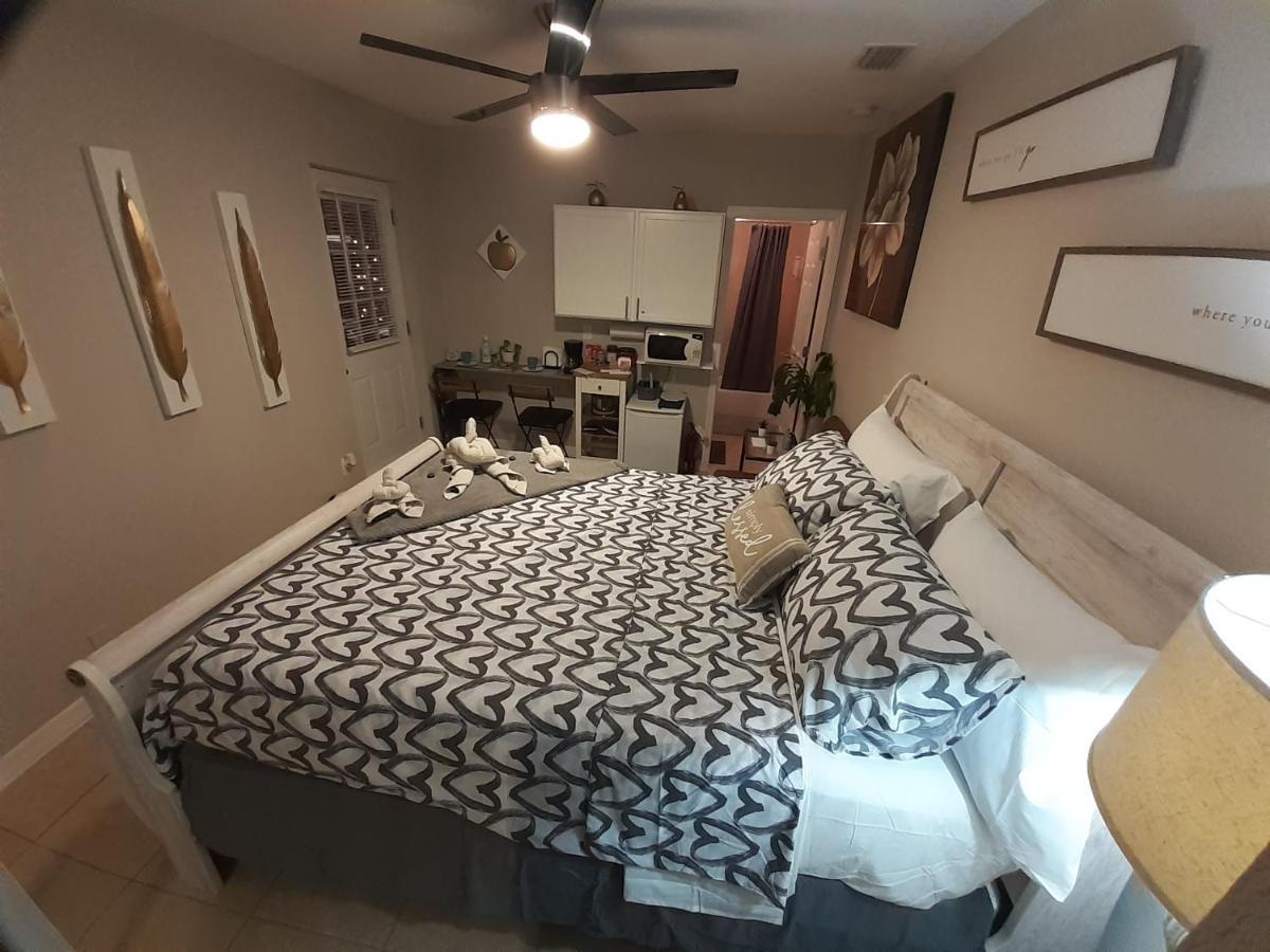 Luxurious Cozy Studio. Tampa Eksteriør billede